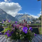 Ahorn Mittelberg