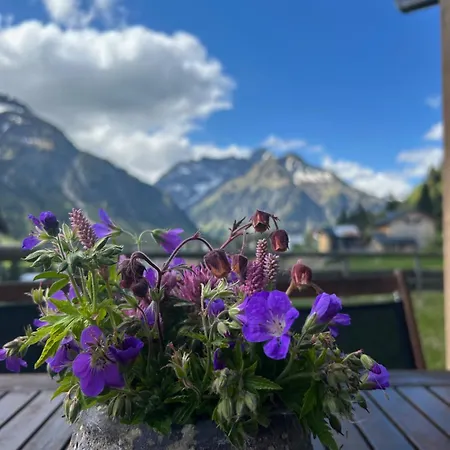 Ahorn Mittelberg