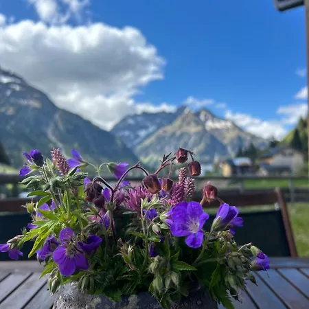Ahorn * Mittelberg
